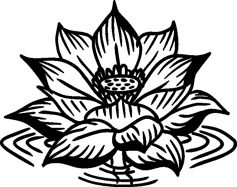 Lotus Flower (2)