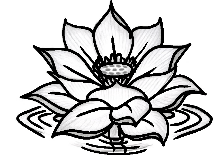 Lotus Flower 2