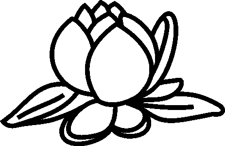 Lotus Flower