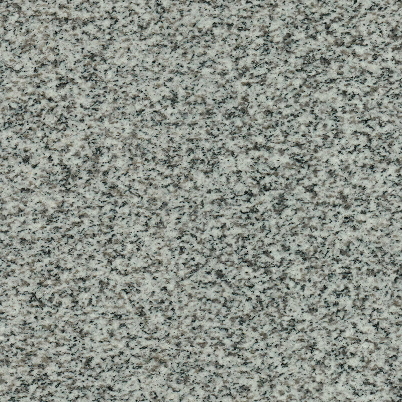 A close-up, high-resolution image of Starlight Gray granite, showing its natural speckled texture of black, white, and various gray tones. This durable stone provides a classic and versatile surface for memorial engravings.