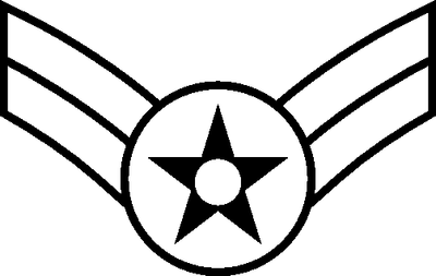 Air Force Wings