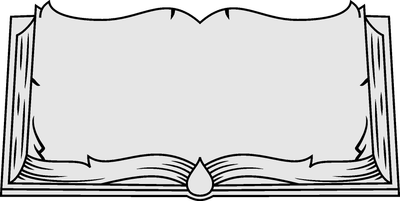 Fancy Book