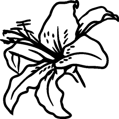 Lily