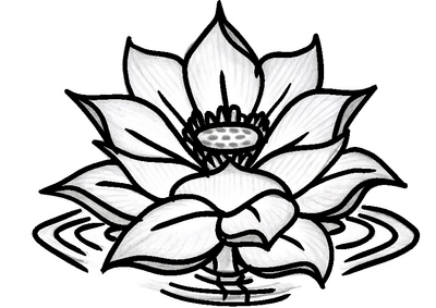 Lotus Flower 2