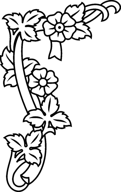 Wild Rose